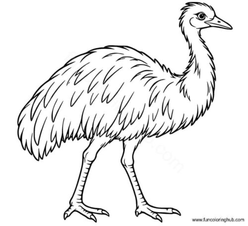 Emu coloring page