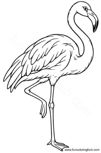 Flamingos coloring page
