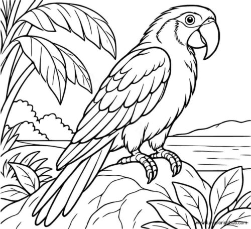 Parrot coloring page