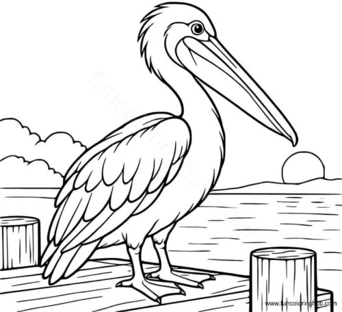 Pelican coloring page