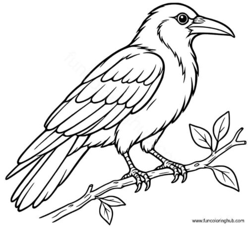 Perched American Crow