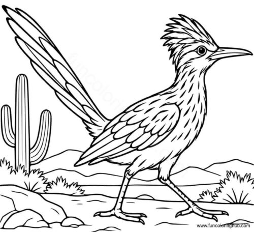 Roadrunner coloring page