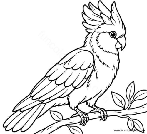 Rose breasted cockatoo coloring page
