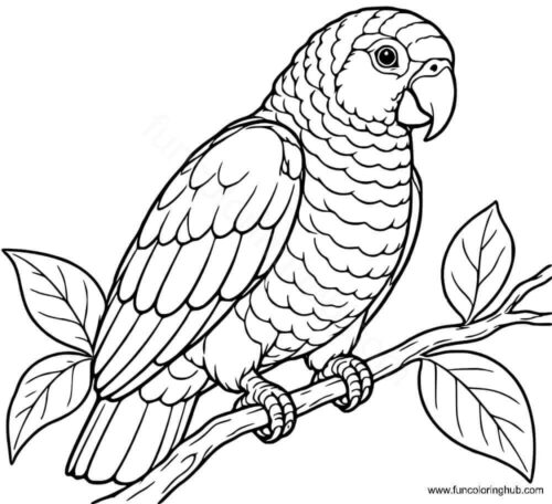 Sisserou Parrot coloring page