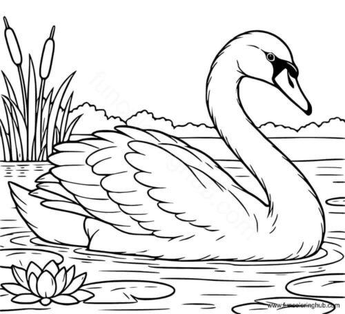 Swan coloring page