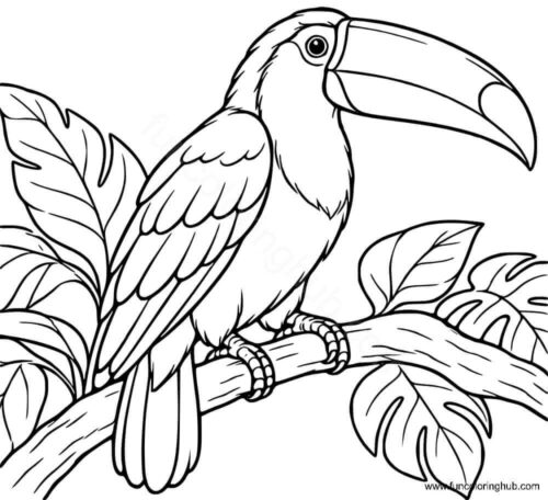 Toucan coloring page