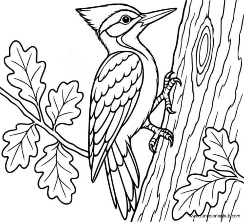 Woodpecker coloring page